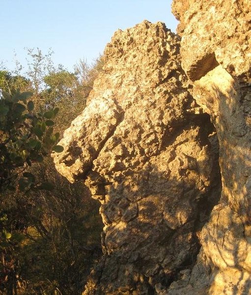 A cool formation.  I see the Where the Wild Things Are head, but also see a Knight Chess Piece!  This is just left of Cayucos.