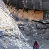 Irina at Black Arch Wall; Oak Creek Canyon, Red Rock.<br>
<br>
(11/15/09)