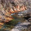 Oak Creek Canyon, AZ.  March 09.