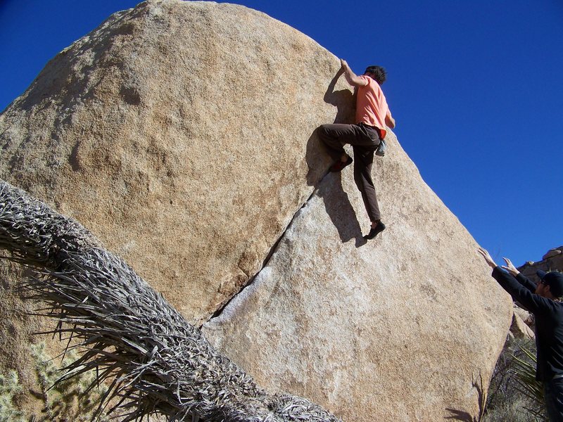 The Chube (V2) J-Tree<br>
Fun mantle top-out. 