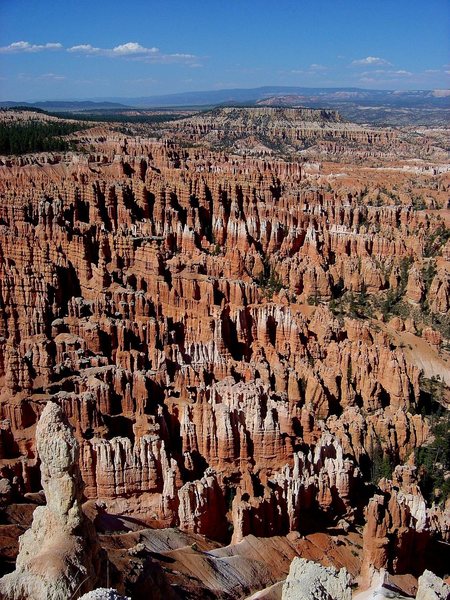 Hoodoos in Bryce National Park.