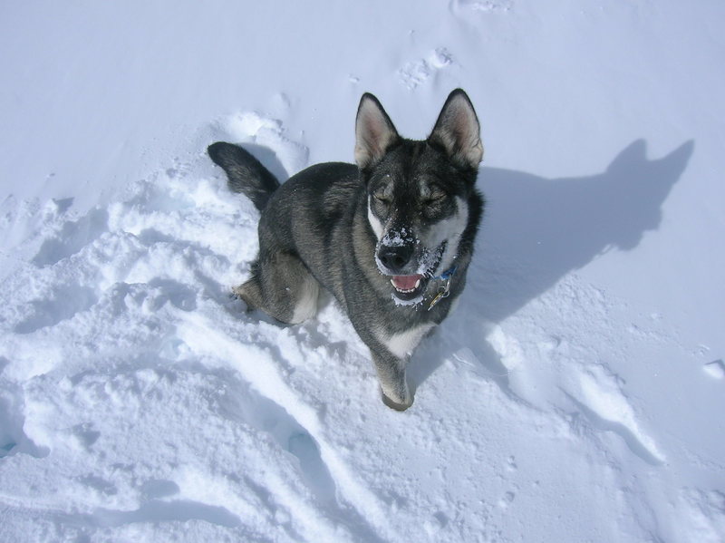 Zion loved going snowboarding at Berthoud