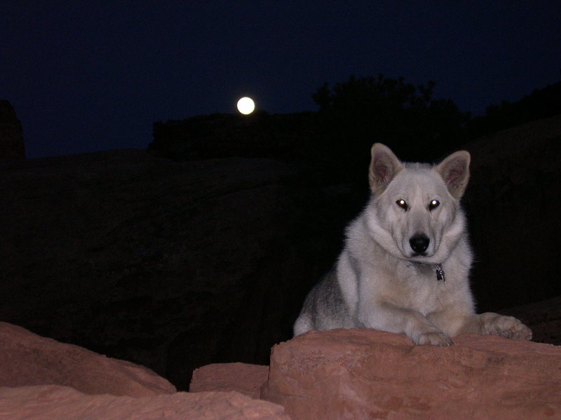 Nikita chilling after a long day of canyoneering in the swell.