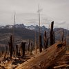 Storm clouds gather over Mt Ritter, scene from the tree graveyard above Reds Meadow