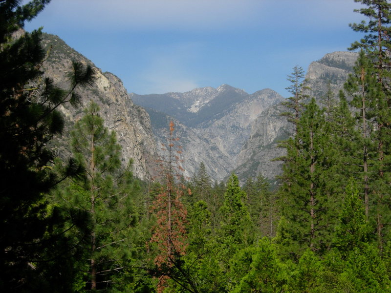 Glacier View up canyon