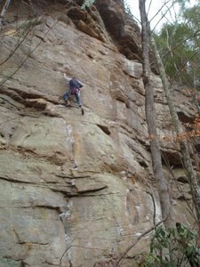 B. Wagner on Hey There Fancy Pants, Jungle Trundle is the right of this, then the start of Little Viper is further right.