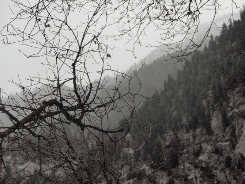 Storm moving into Little Cottonwood Canyon.