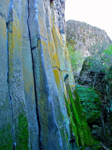 The Grotto