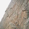 Massive unclimbed crags and walls such as this are found all over the Anti-Atlas mountains . Here Andy Ross takes off on what turned out to be a 5.10 climb.