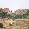 View up Arch Canyon