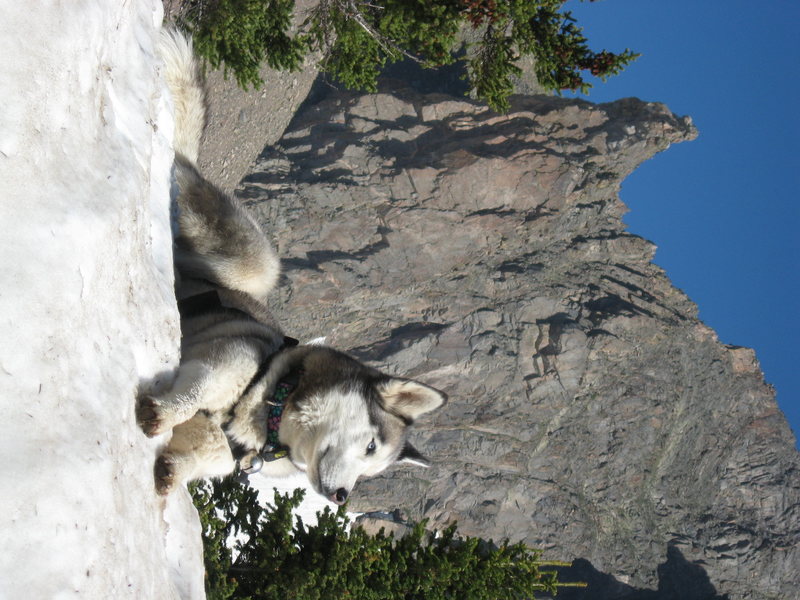 Izzy in front of the Devil's Thumb, Indian Peaks.