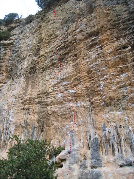 Tarzanin de Muniellos climbs the cool line of tufa drips to a technical headwall.