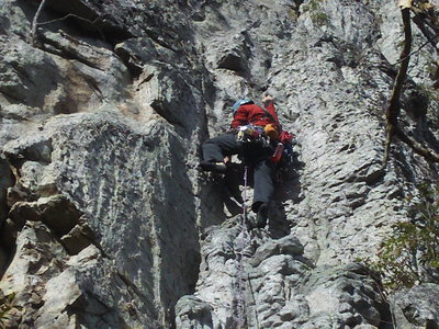 Starting the stem moves!