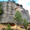 The left end of Can Torxa.  The large dihedral behind the tree is "Somiatruites", a good 5.11.