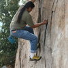 Al on Beehive Crack on the Bee Wall. 12-20-09