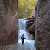 In the Narrows.  One of the coolest "rest day" activites ever!