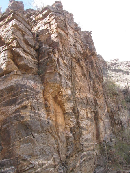 Ventana cliff, looking north