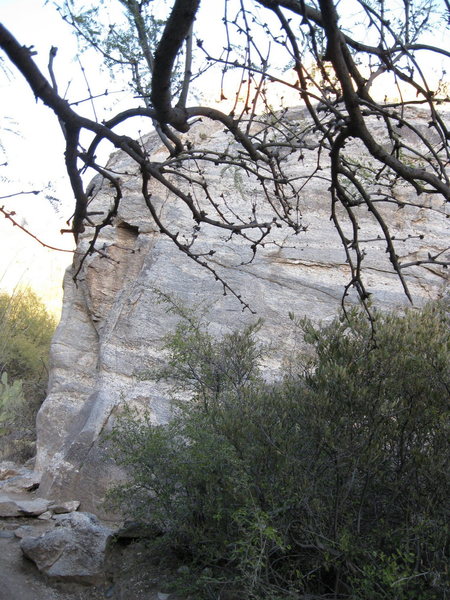 View from the trail.