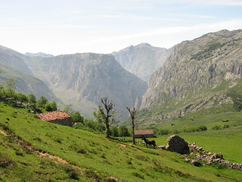 Looking down towards the village of Bulnes.