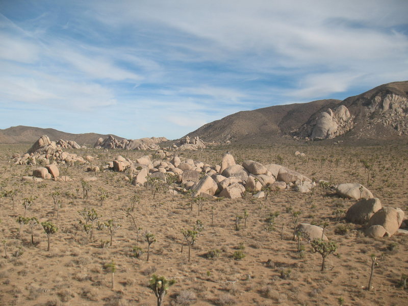 An overview of the Planet X Area, Joshua Tree NP <br>
