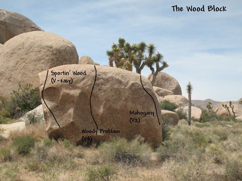 Photo/topo for The Wood Block (E. Face), Joshua Tree NP <br>
