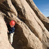 Three-year-old Bryson Fienup climbs on Trashcan Rock, in Joshua Tree National Park.