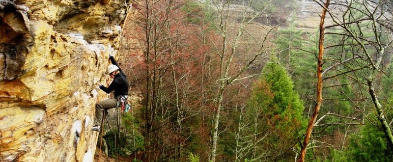 Rosie on Pulling Pockets - RRG - Kentucky.