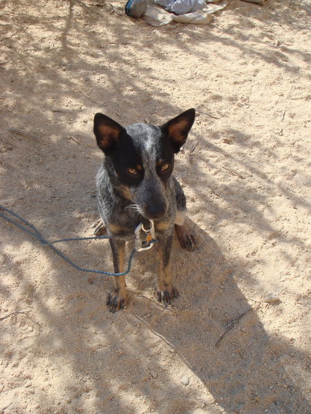 Asia, what a sweetie-her first road trip!