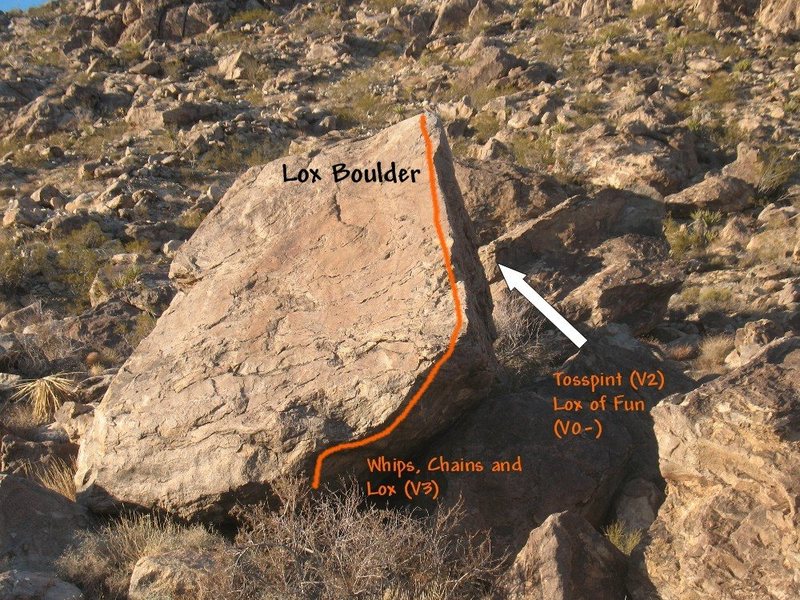 Photo/topo for the Lox Boulder, Joshua Tree NP