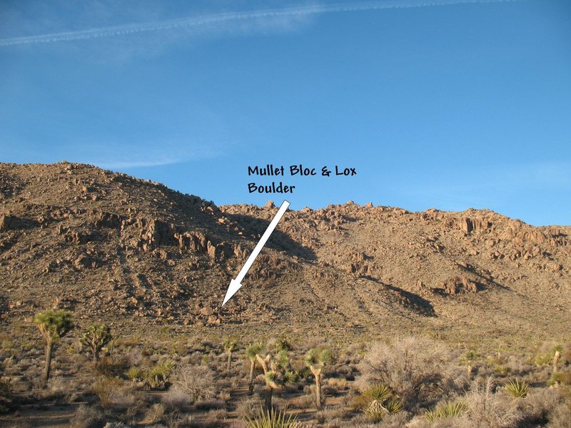 Overview of the western Separate Boulders, Joshua Tree NP