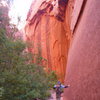 South Fork, Taylor Creek. Monolithic walls tower over the canyon.