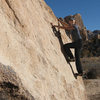 Sonya wondering why this is considered a boulder problem.<br>
Photo by Blitzo.