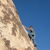 Blitzo soloing on the upper section of "Gotcha Bush".<br>
Photo by Sonya Dickenson.