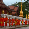 The monks of Luang Prabang lining up for their pre-dawn march through town to collect their morning alms.
