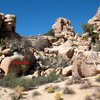 Overview for the Purina Wall, Joshua Tree NP