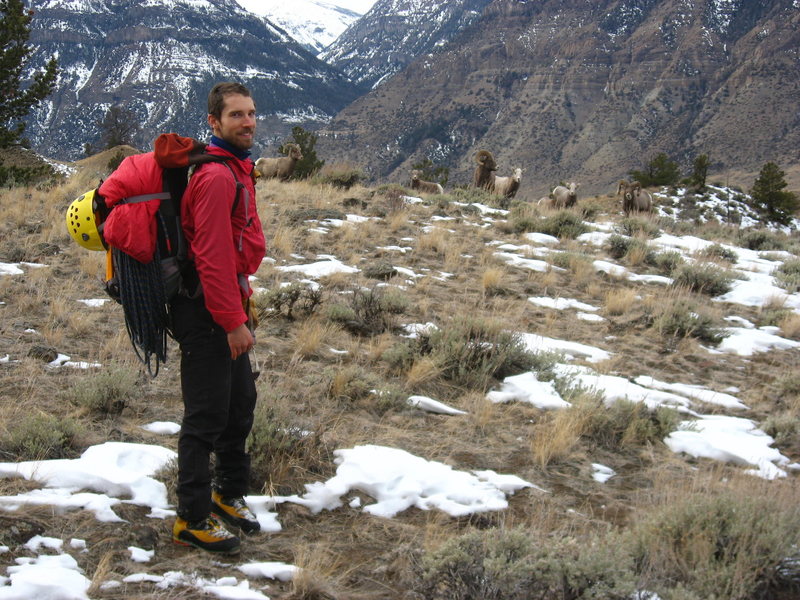 Met these fellers on the approach...they didn't seem to care we were there at all.  Photo by Adam Sinner.  1/18/10