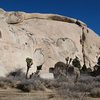 Fun in the sun on a January day, Joshua Tree NP <br>
