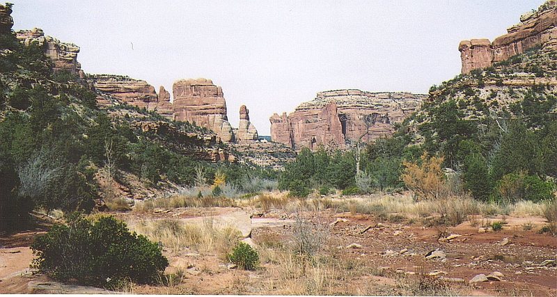 Looking up Arch Canyon from the Dreamspeaker area