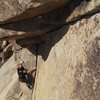 Dave Mayville leading Uppercut, 5.10d<br>
<br>
photo by bob gaines