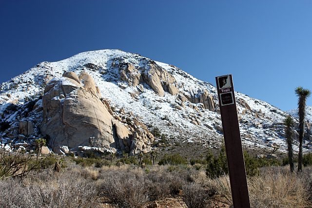 Saddle Rocks Area after a snowstorm, Joshua Tree NP