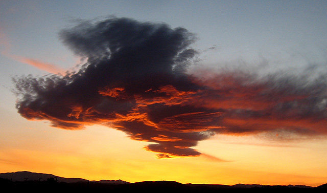 Looking out my back door.<br>
Photo by Blitzo.