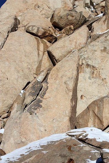 Eileen Spire, Joshua Tree NP