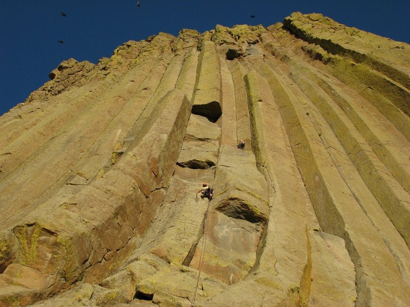 Devil's Tower