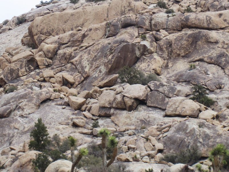 Shorty Crag