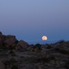 Full moon rise on the way back from Tom's Thumb, on the new trail. What a great birthday present -- the whole day out in the McDowells!!