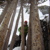 Christopher  Jones at Lincoln Falls Colorado.  Feb 14th 2010