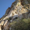 The route from directly below.  It starts center-right in the photo, behind the big tree.