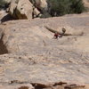 Looking down on 1st belay from 2nd belay. 