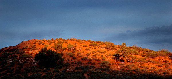 Red sand at sunrise.<br>
Photo by Blitzo.