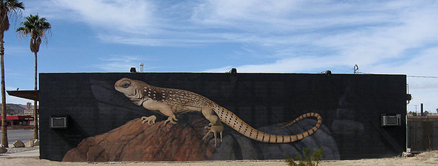 Desert Iguana Mural.<br>
Photo by Blitzo.